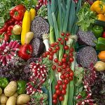 a-diet-free-from-anima
