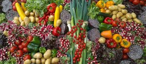 a-diet-free-from-anima