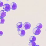 about-two-dozen-cells