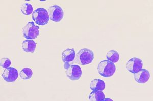 about-two-dozen-cells