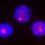 biological-mechanism-u