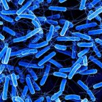 blue-stick-shaped-bact