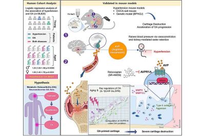 hormone-receptor-duo-r