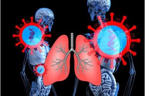 lung-2 (2)