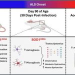 viral-infections-can-a