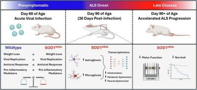 viral-infections-can-a
